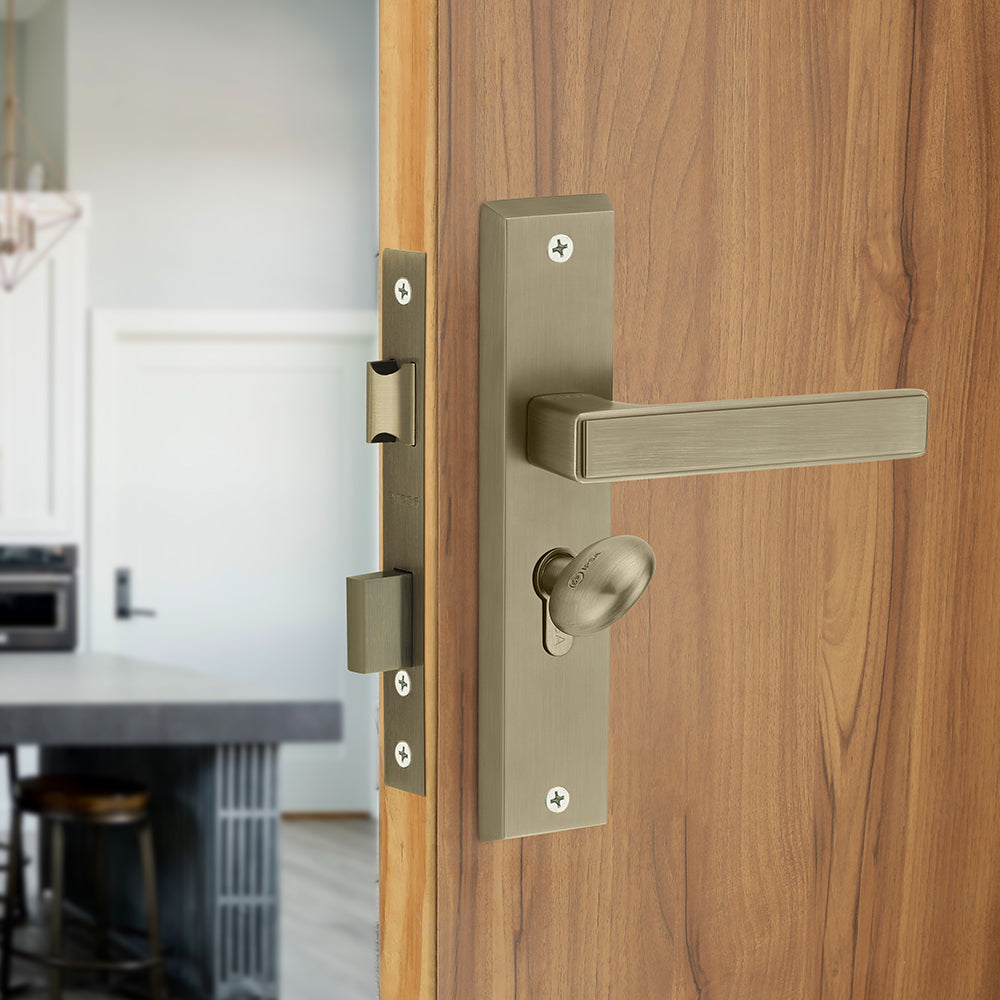 IPSA Teal Iris Handle Series on 8" Plate CYS Lockset with 60mm Coin and Knob - Matte Antique Finish MAB